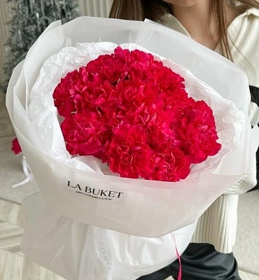 Букет "15 малиновых диантусов"